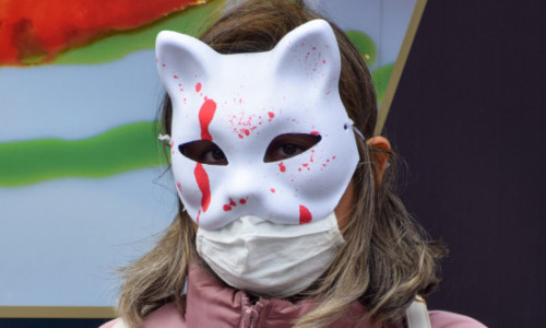 Subcultura bolnavă a torționarilor de pisici. Războiul secret dintre iubitorii de feline și cei care fac bani din „zoosadism”
