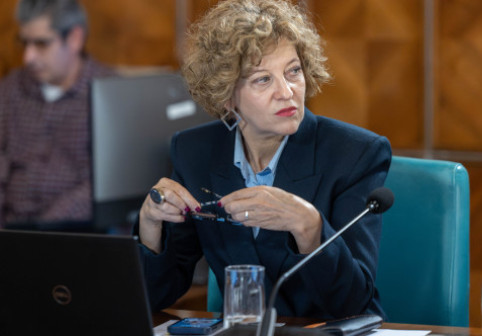 Oana Gheorghiu: Sunt domenii în care statul nu are ce să caute. Cine spune că pot fi reformate companiile într-un an, minte