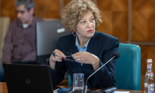Oana Gheorghiu: Sunt domenii în care statul nu are ce să caute. Cine spune că pot fi reformate companiile într-un an, minte
