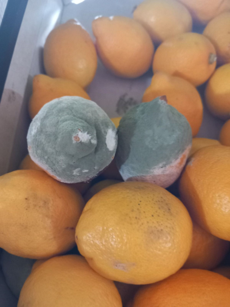 sursa: ANPC | Poza 5 din 6