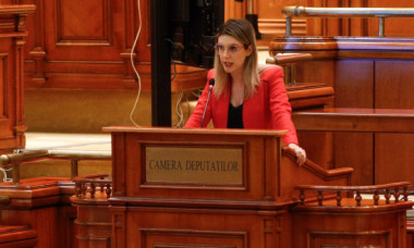 Țipete și circ în Parlament. Diana Buzoianu, chemată la raport. AUR și PSD îi cer demisia: „Cum îți speli propria vină fără apă?”