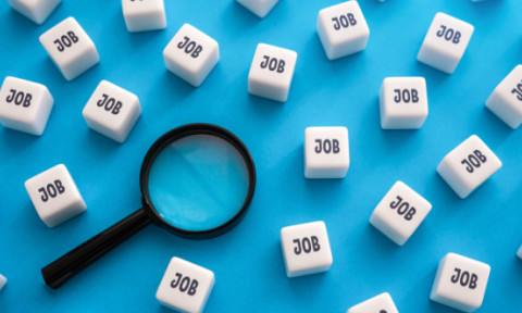 Care a fost cel mai dorit loc de muncă în România în 2025. Top 3 cele mai căutate joburi și ce salarii oferă