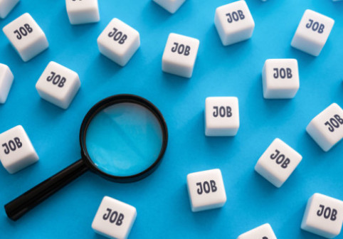 Care a fost cel mai dorit loc de muncă în România în 2025. Top 3 cele mai căutate joburi și ce salarii oferă