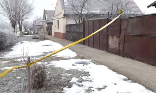 Crima din Cenei. Noi detalii despre suspecți: cei doi băieți de 15 ani ar mai fi bătut un tânăr, care însă și-a retras plângerea