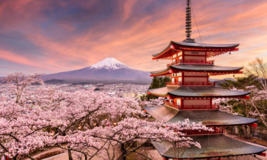 Festivalul cireșilor înfloriți din Japonia, anulat din cauza comportamentului turiștilor