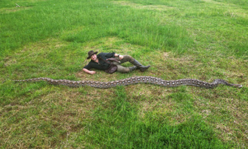 Românul care a descoperit cel mai lung șarpe din lume, intrat în Cartea recordurilor: Succesul niciodată nu este al unui singur om