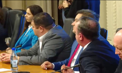 Scandal la audierea ministrului de Externe, Oana Țoiu. Derapaj xenofob în ședința comisiei parlamentare: „Vă pasă de români?”