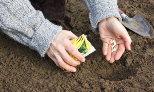 Singura țară din lume care își poate acoperi integral hrana din resurse proprii. Cum stă România într-un astfel de clasament mondial