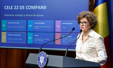 Oana Gheorghiu: „Există o conductă sub pământ, pe care hoții au demontat-o și totuși statul plătește mii de euro în fiecare an”