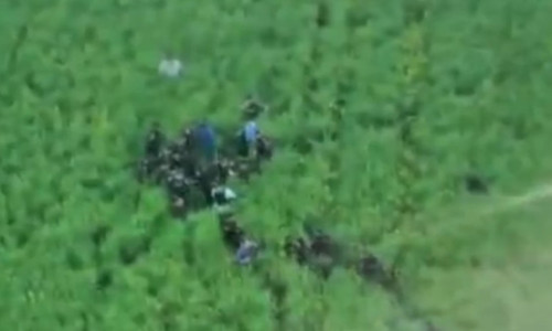 VIDEO Imagini cu momentul capturării suspectului în crima din Bihor: Bărbatul era ascuns într-un lan de rapiță