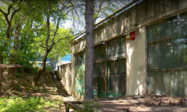 Culmea „performanței” la stat. Companie pentru vânzarea cărților, cu cinci șefi, doi angajați și activitate zero, dar plătiți lunar