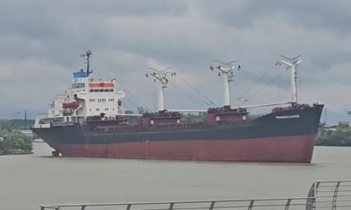 VIDEO. Accident naval la Tulcea: un vapor sub pavilion Panama a lovit pontonul de pasageri.