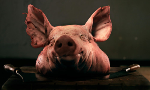 Saga capetelor de porc continuă. Un al doilea incident tip Cosa Nostra la proprietățile cofondatorului AUR, Marius Lulea