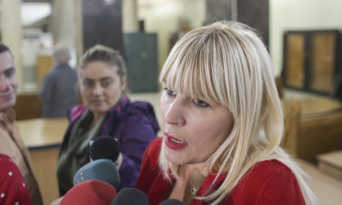 Elena Udrea și-a retras cererea de liberare condiționată. Ce plan are fostul ministru al Turismului (surse)