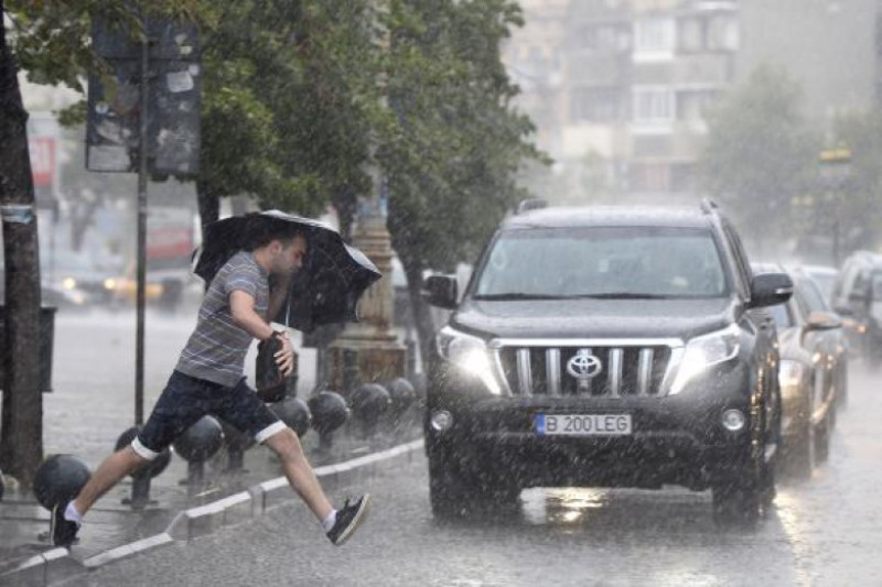 ploaie averse vijelie - mfax