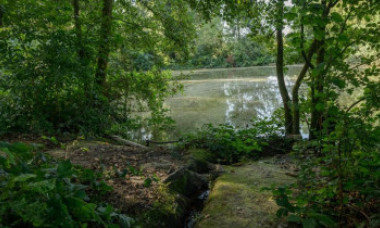 Cazul misterios al fraților români găsiți împușcați în cap, pe malul unui lac din Belgia. Un polițist a fost arestat