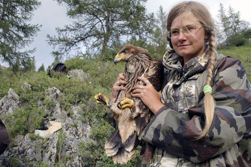 Steppe eagle roaming charges