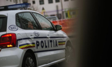Tânărul din Timiş care i-a tăiat capul cu drujba unui bărbat care îi vânduse o mașină defectă și-a primit pedeapsa