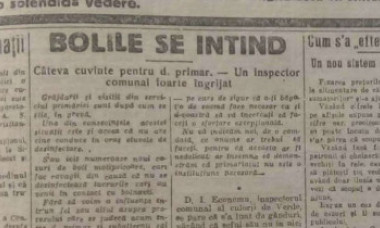fake news, pedepse pentru strănut, ceartă pe fraudarea alegerilor