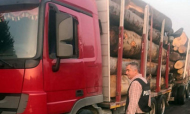 Un primar a fost prins la volanul unui camion cu lemne furate. Scuza incredibilă găsită de edil