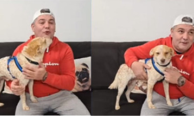 VIDEO EXCLUSIV Imagini în premieră cu câinele incendiat de minori și salvat de un ONG. Cum se simte acum patrupedul și ce nume a primit