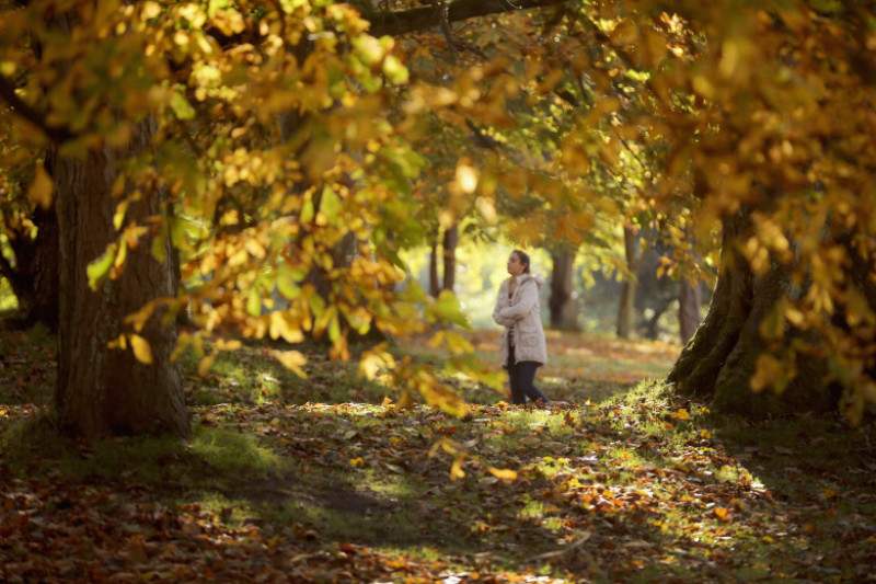 Autumn Colours Begin To Show