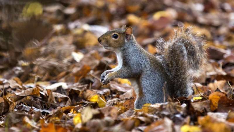 Halloween Set To Be The Warmest On Record