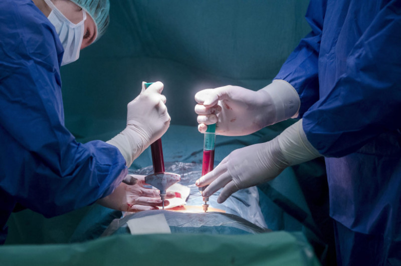 Children during stem cell transplant treatment in Budapest