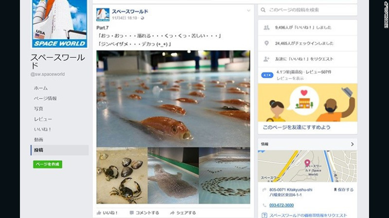 fish