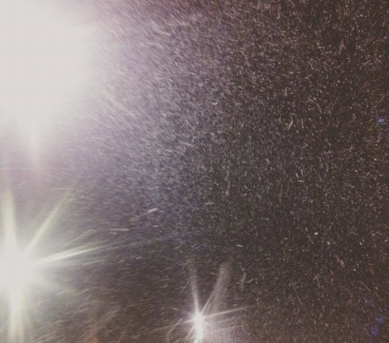 ninsoare bucuresti 19 martie