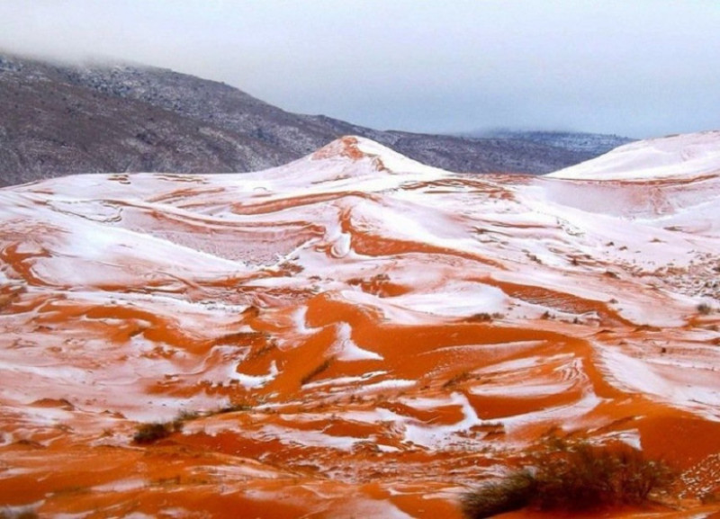 zapada-in-desert-tw