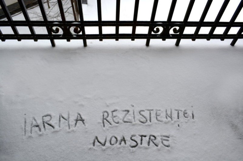 protest fb mihai sora