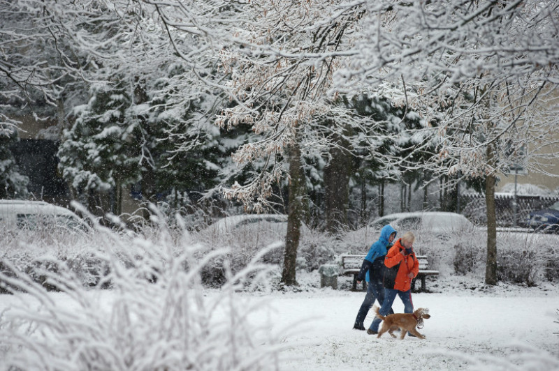 First Season's Snowfall In Berlin