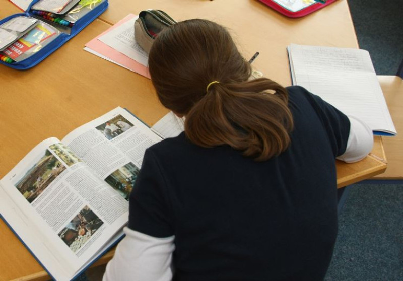 Eleva teme pentru acasa, educatie, scoala_GettyImages-82913350 crop