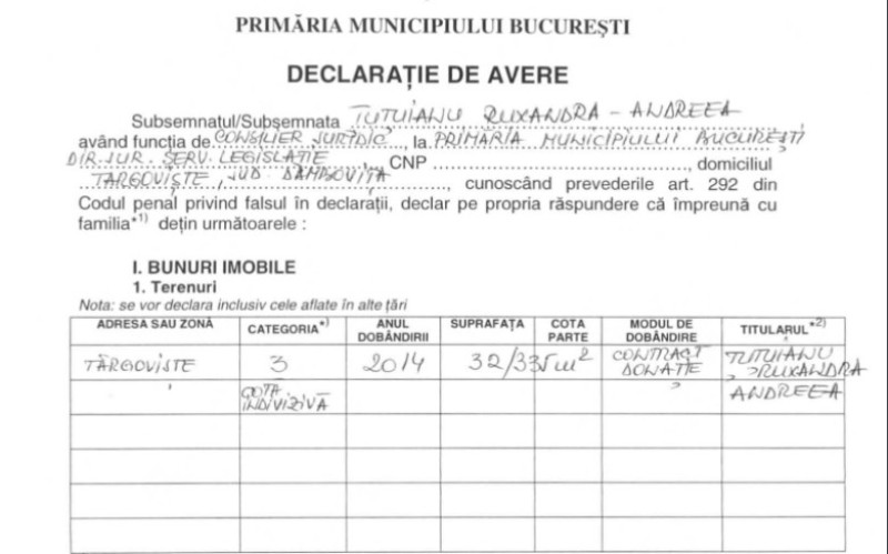 captura decl de avere ruxandra tutuianu