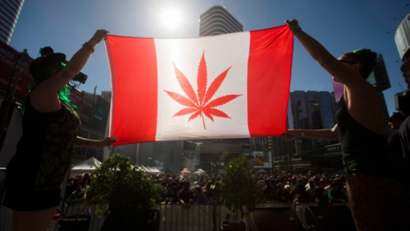 steag canada marijuana