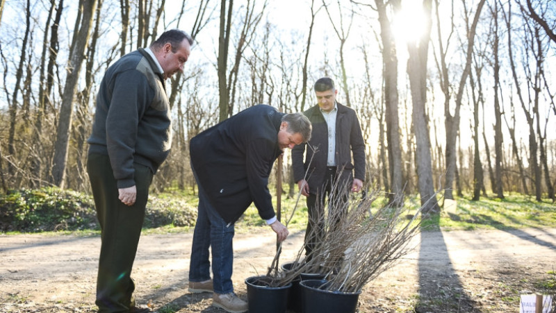 iohannis puiet padure