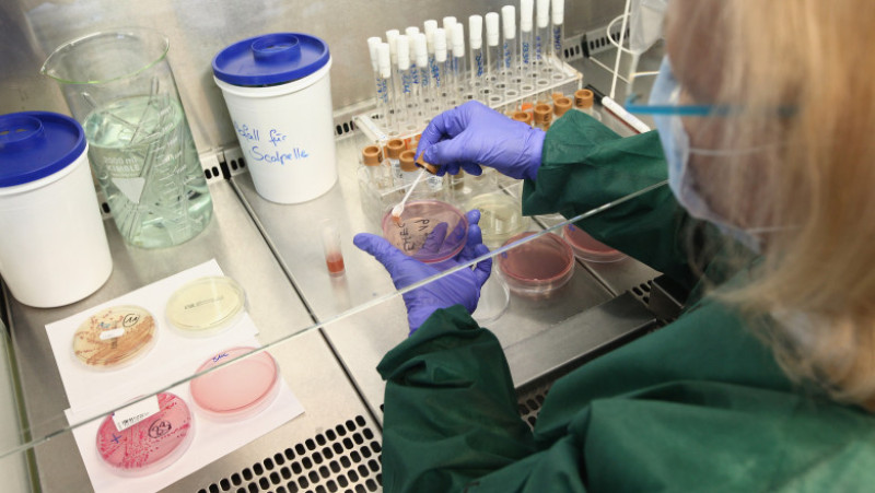 Health Authorities Seek Clues To EHEC Outbreak