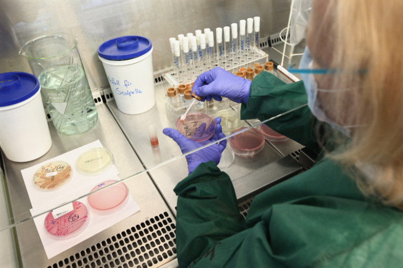 Health Authorities Seek Clues To EHEC Outbreak