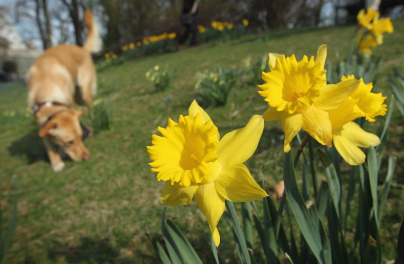 Spring Weather Reaches Germany