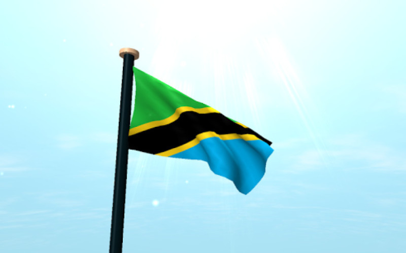 steag tanzania