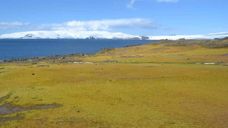 Antarctica