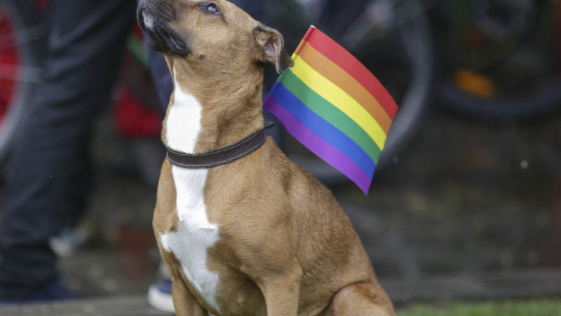 170520_BUCHAREST_PRIDE_08_INQUAM_PHOTOS_Octav_Ganea_
