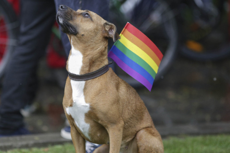 170520_BUCHAREST_PRIDE_08_INQUAM_PHOTOS_Octav_Ganea_