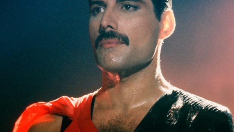 freddie