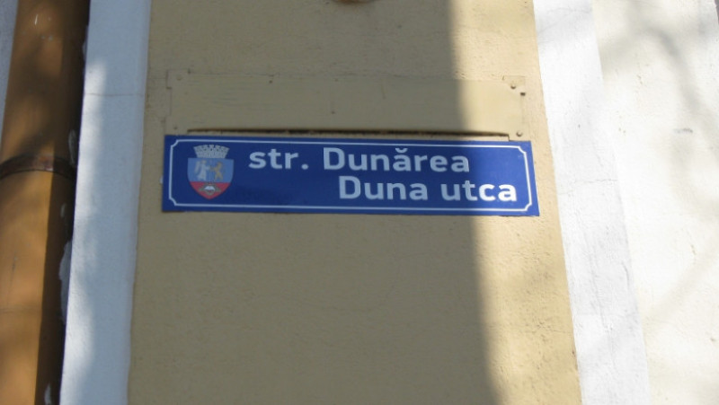 Placuta bilingva