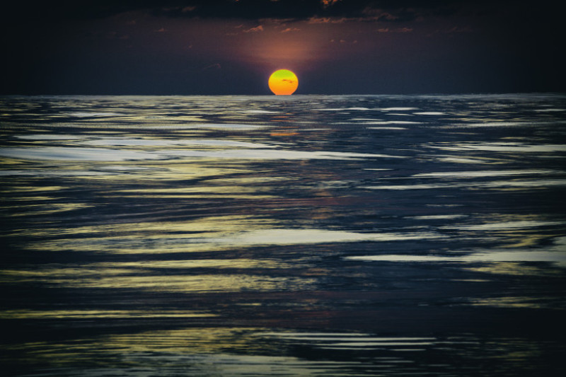 apus mare