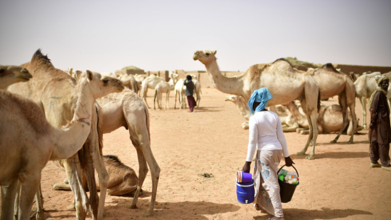 UN Troops Assist Malian Government In Fighting Rebels