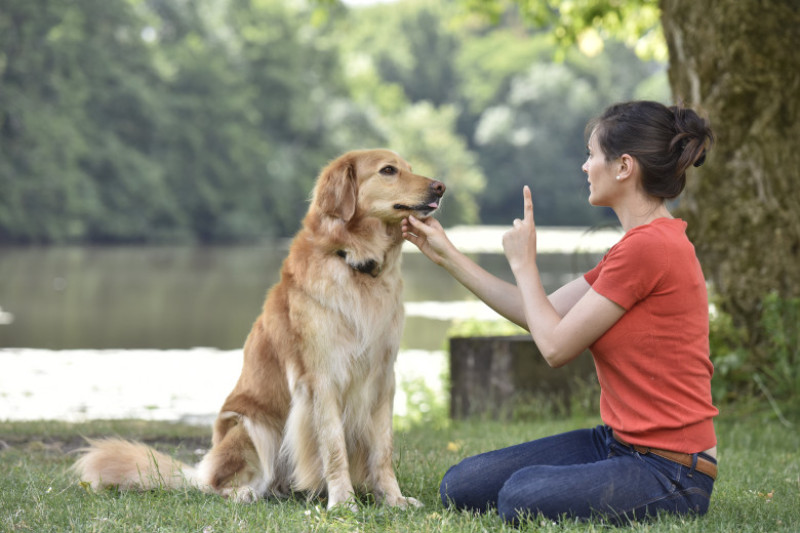 shutterstock_459200512