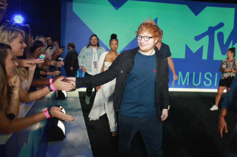 2017 MTV Video Music Awards - Red Carpet